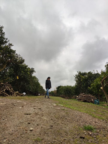 VilaBaghEstakhr.ir - ویلا باغ استخر