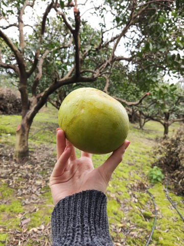 VilaBaghEstakhr.ir - ویلا باغ استخر