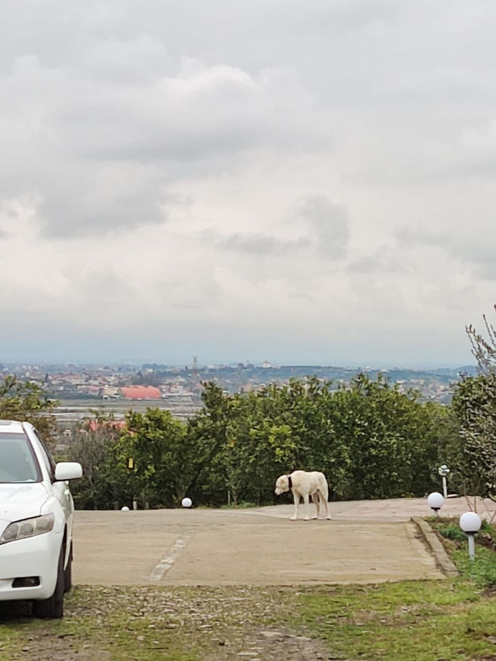 VilaBaghEstakhr.ir - ویلا باغ استخر