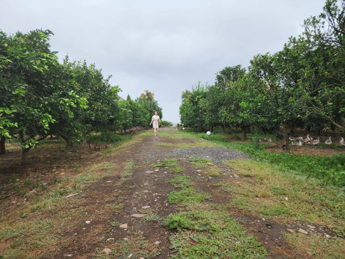 VilaBaghEstakhr.ir - ویلا باغ استخر