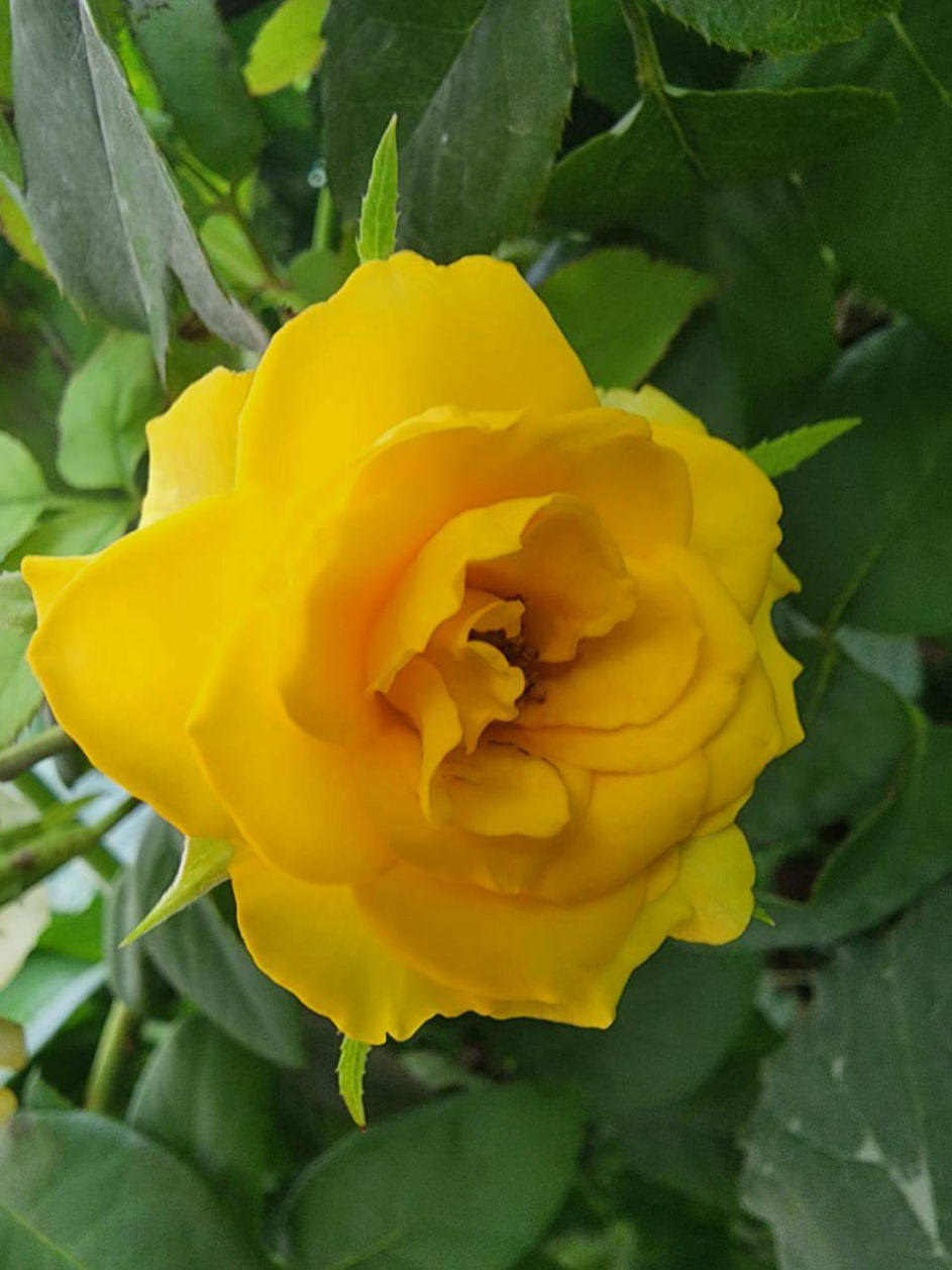 VilaBaghEstakhr.ir - ویلا باغ استخر