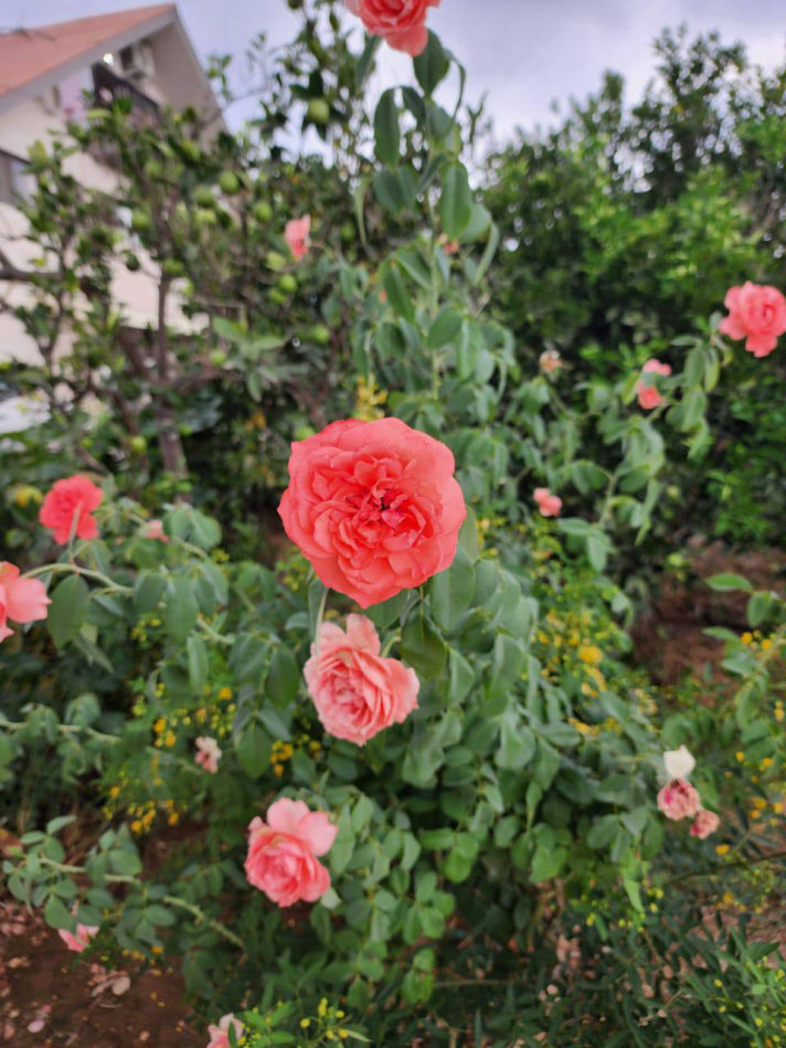 VilaBaghEstakhr.ir - ویلا باغ استخر